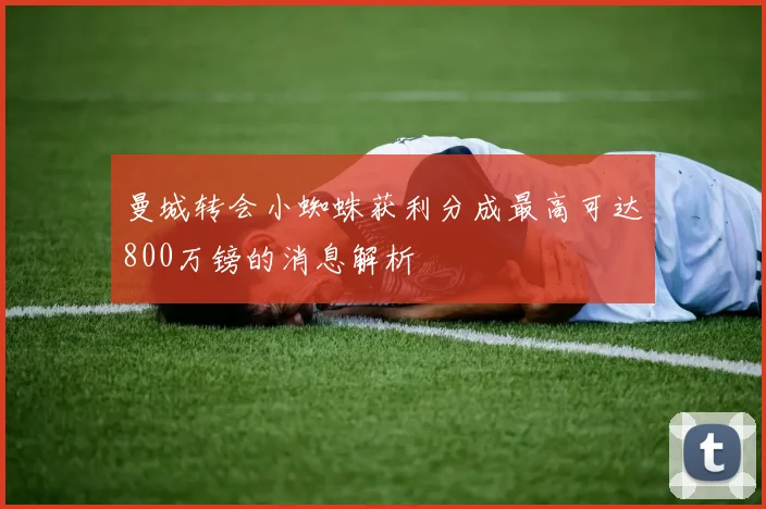 曼城转会小蜘蛛获利分成最高可达800万镑的消息解析
